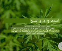 Esfolio Ultra Moisture Eye Cream كريم مرطب مكثف لمنطقة العين