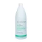 -spa-master-everyday-green-complex-with-panthenol-shampoo