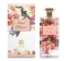 anfar-london-floral-bloom-100ml-edp-100-